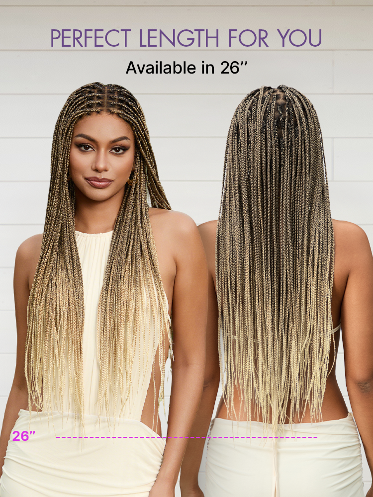 [New Arrival] Salon Braids HD Lace Knotless Wig ✨